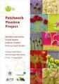 Thumbnail for article : Patchwork Meadow Project