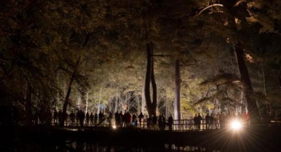 Photograph of Magical Enchanted Forest extends its run in 2015