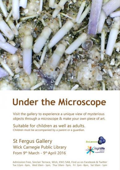 Photograph of Under the Microscope activities and When I grow up exhibition