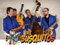 Thumbnail for article : THE BUSQUITOS - FAMILY SHOW