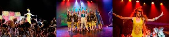 Photograph of Wildcards shown for Highland Schools in Rock Challenge