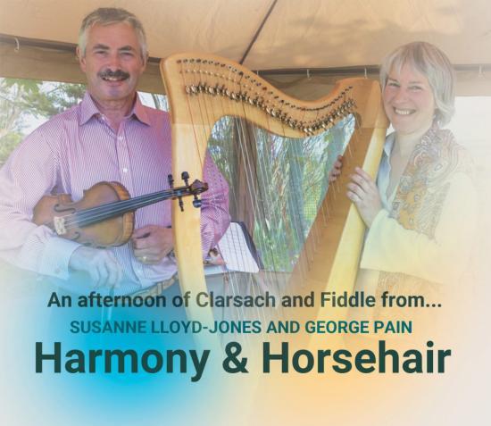 Photograph of HARMONY and HORSEHAIR JULY 16, 2017