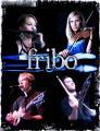 Thumbnail for article : Fribo In Concert At Lyth