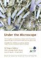 Thumbnail for article : Under the Microscope activities and When I grow up exhibition