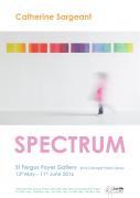 Thumbnail for article : Spectrum at St Fergus Gallery, Wick